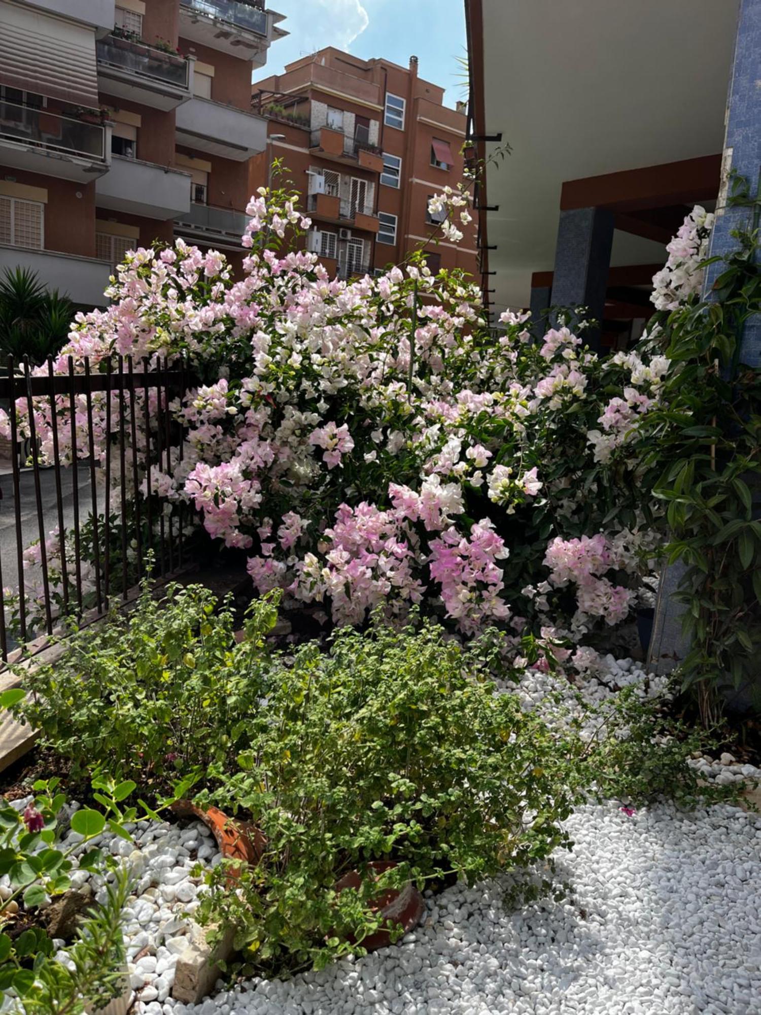 Casetta Romana Dış mekan fotoğraf